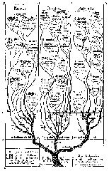 classification