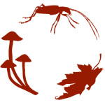 Canadensys logo